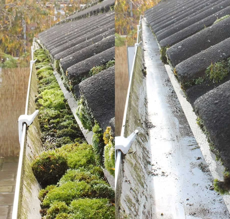 Gutter Cleaning