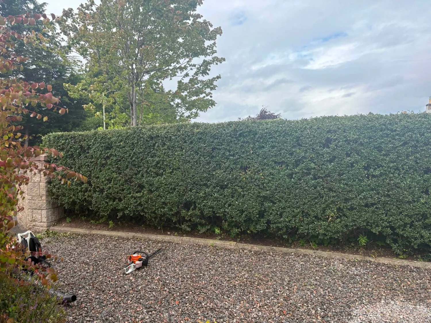 Invergreen Gardening work: Hedge Cutting & Pruning